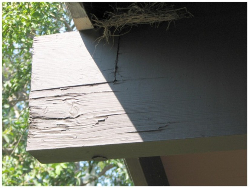 Failed Roof Beam Repair 15